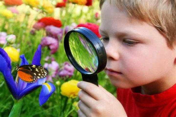 4 reasons why curiosity iis important and how to develop it