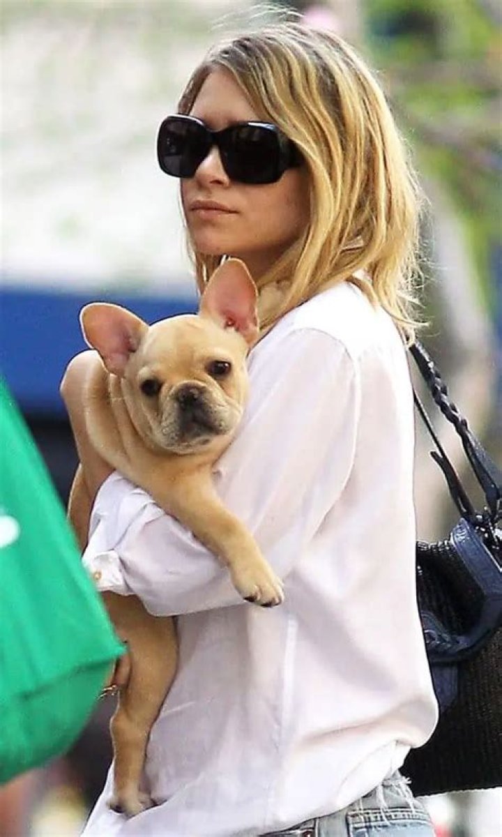 Celebrities with French Bulldogs