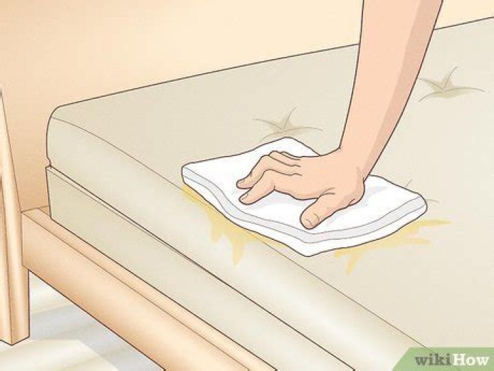 Getting rid of urine smells