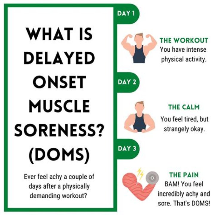 How Long Does It Take Muscles to Recover?