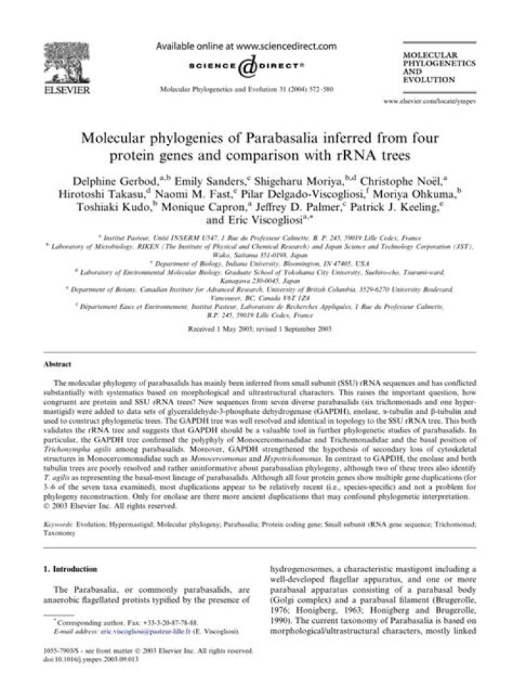 Molecular phylogenies of Parabasalia inferred from four protein genes and comparison with rRNA trees - ePrints