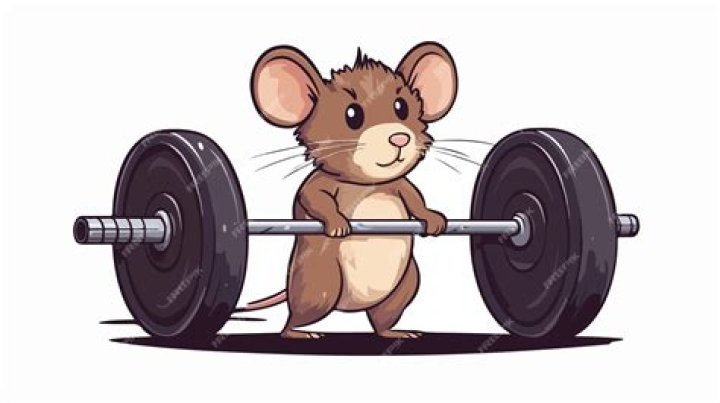 My Girlfriend Is an Obsessed Gym Rat, and I Don’t Like Where It’s Heading