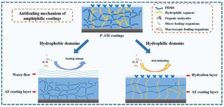 Poly(ethylene) glycol-modified, amphiphilic, siloxane–polyurethane coatings and their performance as fouling-release surfaces - ePrints