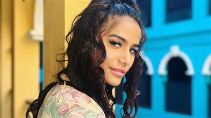 Poonam Pandey Net Worth, The Legacy of a Bold Icon Who Redefined Celebrity and Left Behind an 80+ Crore Legacy