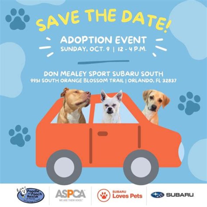 Su-BOO-Ru Adoption Event @ Hyman Bros Subaru