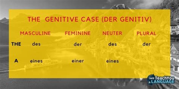   The Genitive Case (der Genitiv)
