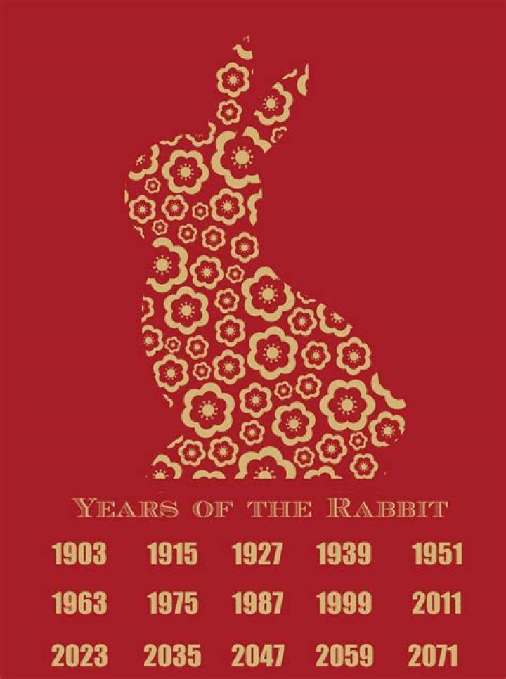 The Year of the Rabbit
