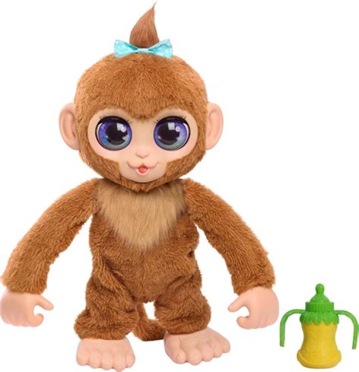 What is a Spot Monkey